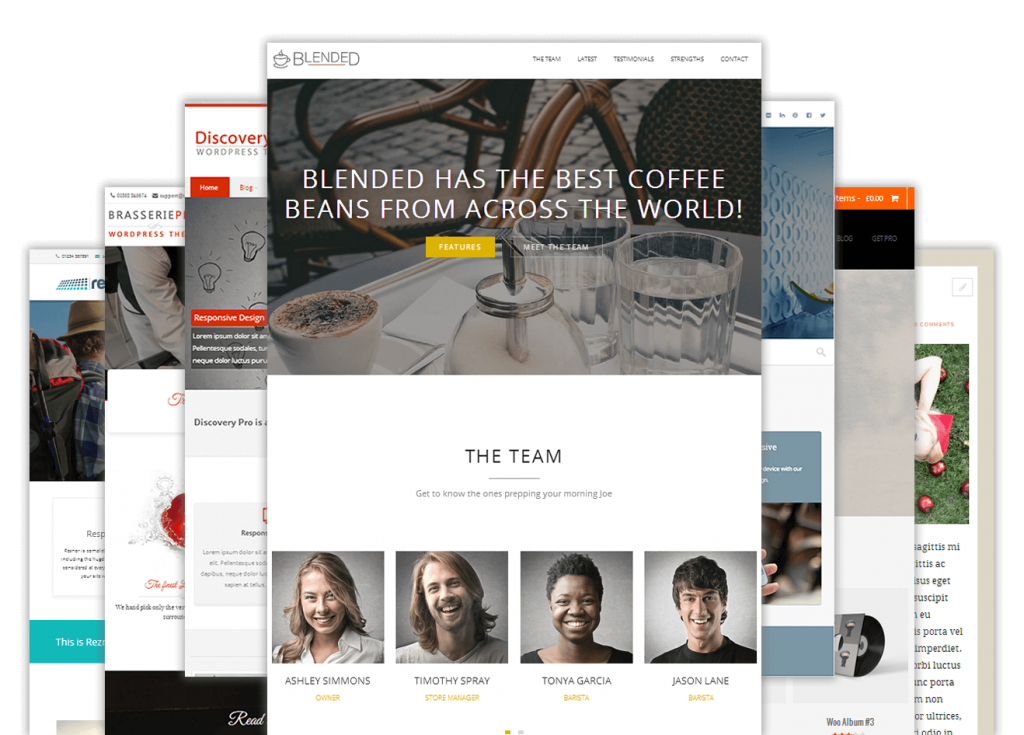 wordpress theme